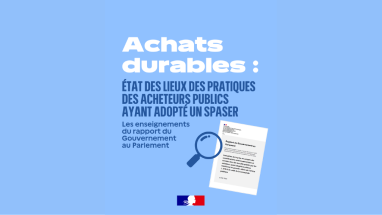 Visuel RS rapport SPASER