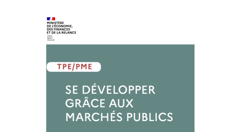 Illustration Guide TPE PME Marchés Publics