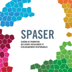 SPASER - Université de Lorraine