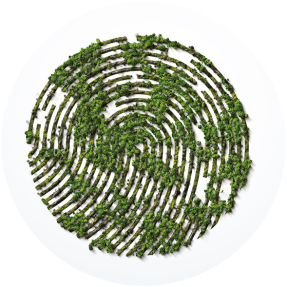 empreinte digitale circulaire formée par une forêt